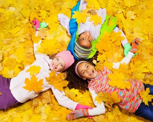 Arpan Green Real Estate Pvt Ltd